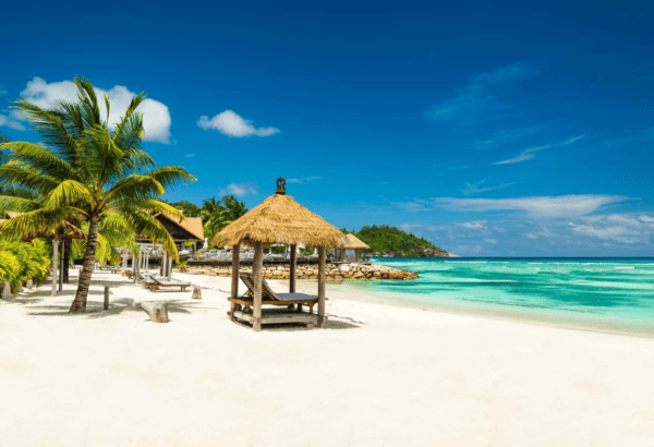From Snorkeling to Sandcastles: Cruise Destinations that Ignite a Love for Exploration in Kids