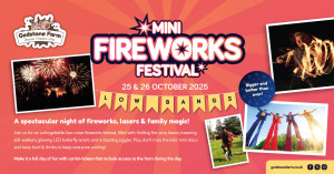 The Best Bonfire Night Activities for Kids 2025