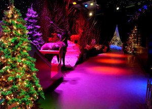 The Best Christmas Kids Activities 2025