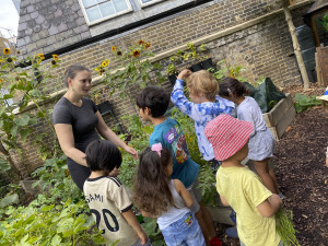 The Best Gardening Activities for Kids and Toddlers