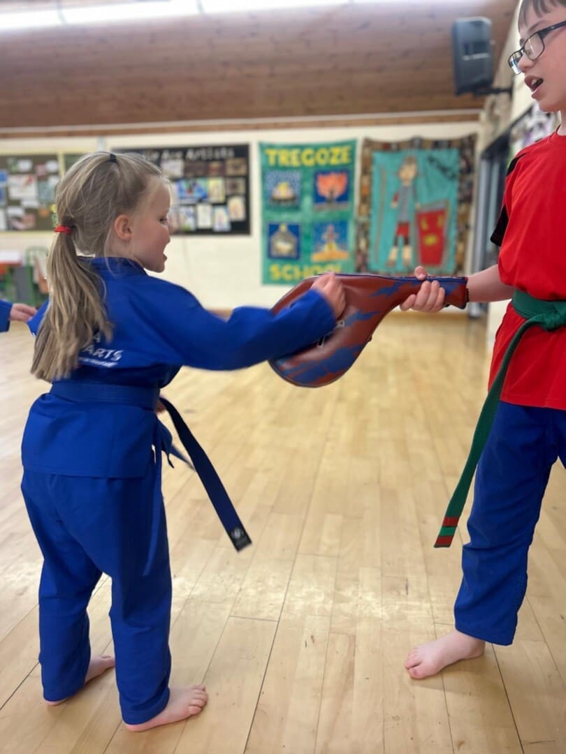 Little Ninjas Martial Arts Warminster