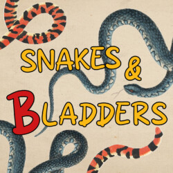 Photo of Snakes & Bladders