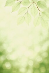 Photo of WELLBEING CLASSES FOR 10-12 YEAR OLDSRelax - Feel Good - Learn tools to manage stress