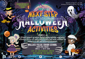 Photo of NSSport Holiday Camp at Wallace Fields – Espom KT17