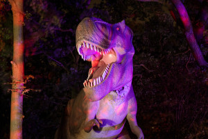 Best Halloween Activities for 2026