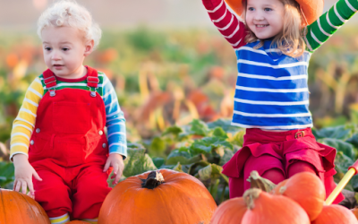 The Best Pumpkin Picking Places in the UK