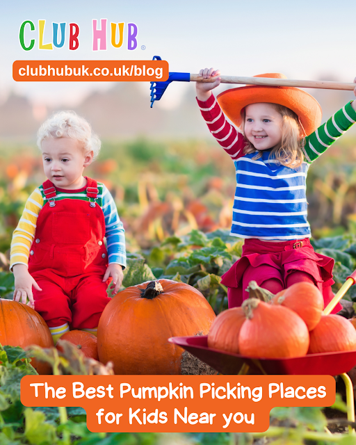 The Best Pumpkin Picking Places in the UK
