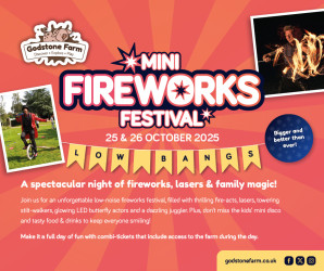 Photo of Mini Fireworks Festival at Godstone Farm