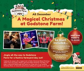 Photo of A magical Christmas at Godstone Farm