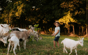 9 of the most memorable UK family days out