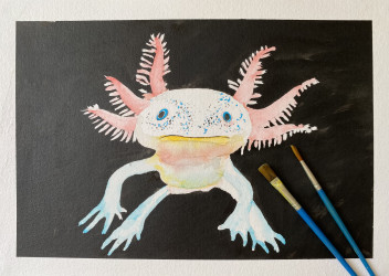 Photo of After School Art Classes in Notting Hill! Ages 5-12