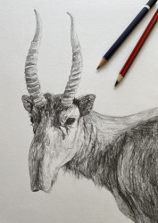 Photo of Saturday Art Classes in Notting Hill! Ages 5-12