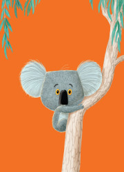 Photo of The Koala Who Could