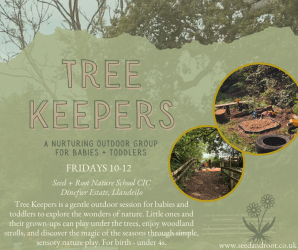 Photo of Tree Keepers Baby + Toddler Sessions