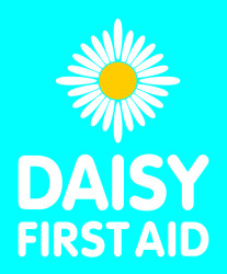 Photo of Parent First Aid class