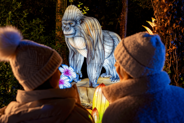 Photo of Twycross Zoo's Lanterns of the Wild