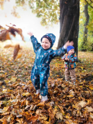 Photo of Mini Explorers – Parent/Toddler Group