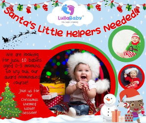 Photo of LullaBabies (0–5 months) Christmas Themed Step 1 Taster