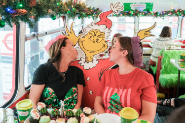 Photo of Grinchmas Afternoon Tea Sightseeing Bus Tour