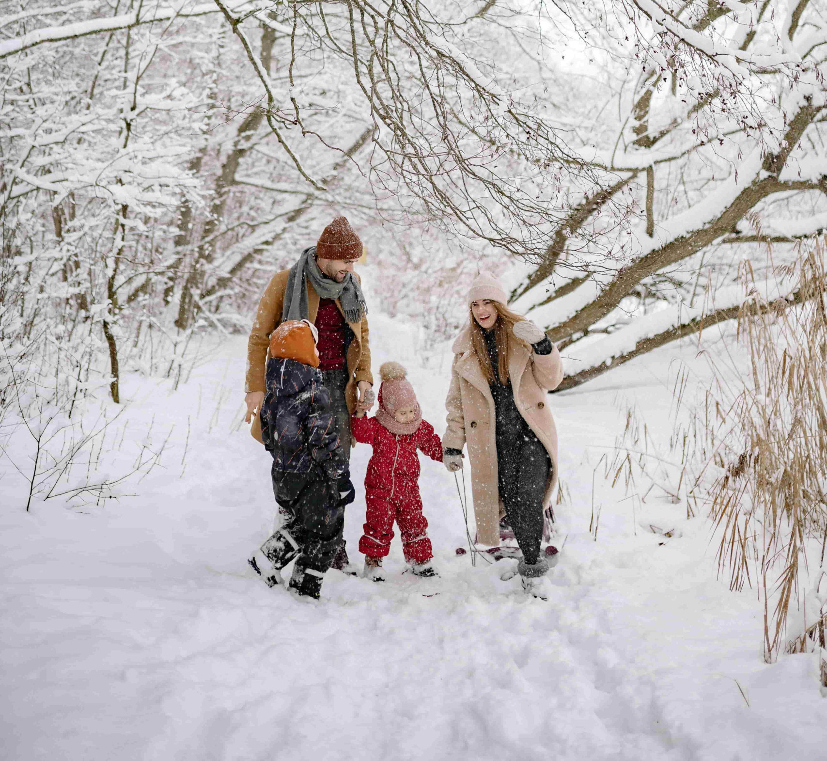 Nature Walks and Winter Wildlife Trails