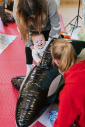 Photo of Story Apprentices Barrow Scout Hut