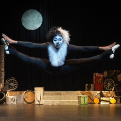 Photo of London Musical Theatre Company