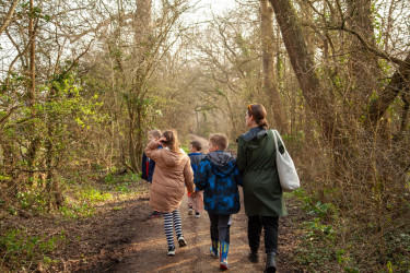 Photo of Nature Wellbeing Activity Walk – Three Cornered Copse