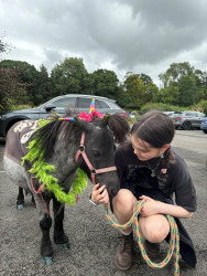 Photo of Animal Walks