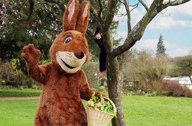 Photo of Easter Eggsplorers