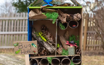 Earth Day Activities for Kids