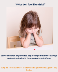 Photo of Superbunny Social Themes:  Why  do I Feel Like This? (emotions & feelings)