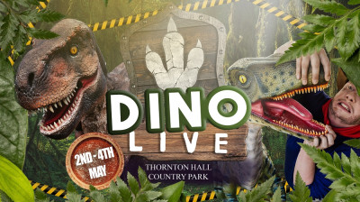 Photo of DINO Live (May Bank Holiday)
