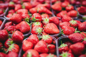 Wimbledon-Inspired Tennis Activities for Kids