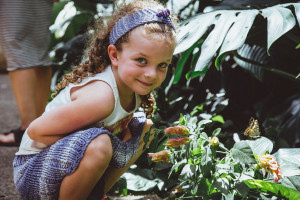 butterfly spotting activities for children