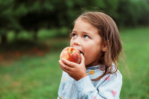 healthy summer snacks for kids