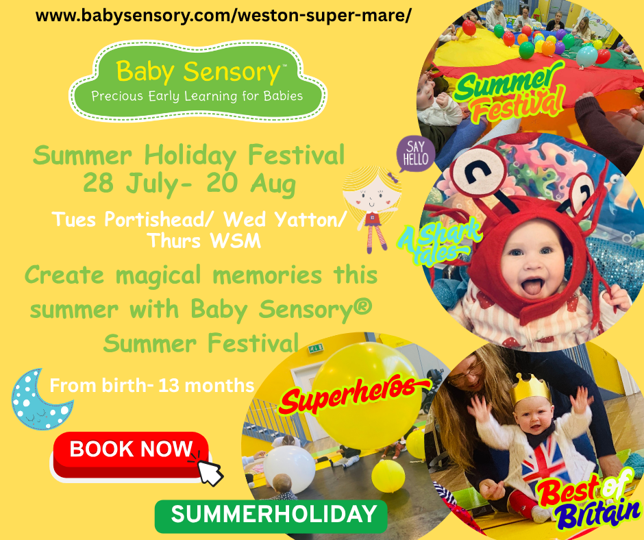 Baby Sensory Locking Castle WSM