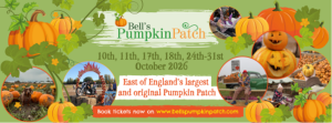 The Best Pumpkin Picking Places in the UK