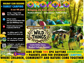 Photo of Summer Holiday Camp