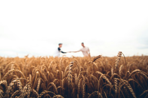Harvest Festival Activities for Children