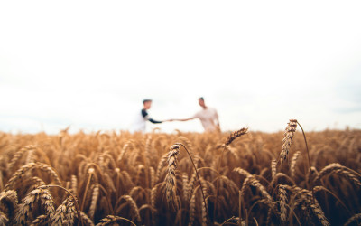 8 Harvest Festival Activities for Children: Fun Autumn Ideas for Families and Schools