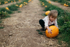 Harvest Festival Activities for Children