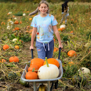 The Best Pumpkin Picking Places in the UK