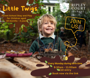Photo of Forest School Club – Little Twigs