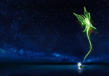Photo of Peter Pan - A Musical Adventure