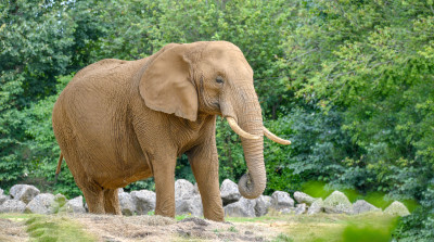 Photo of Colchester Zoological Society