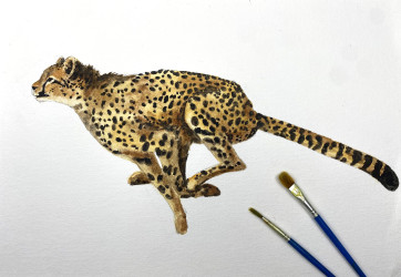 Photo of Cygnets Art School Notting Hill | Autumn Term Classes | All Abilities  (Ages 5-12) ‘Safari Adventures’