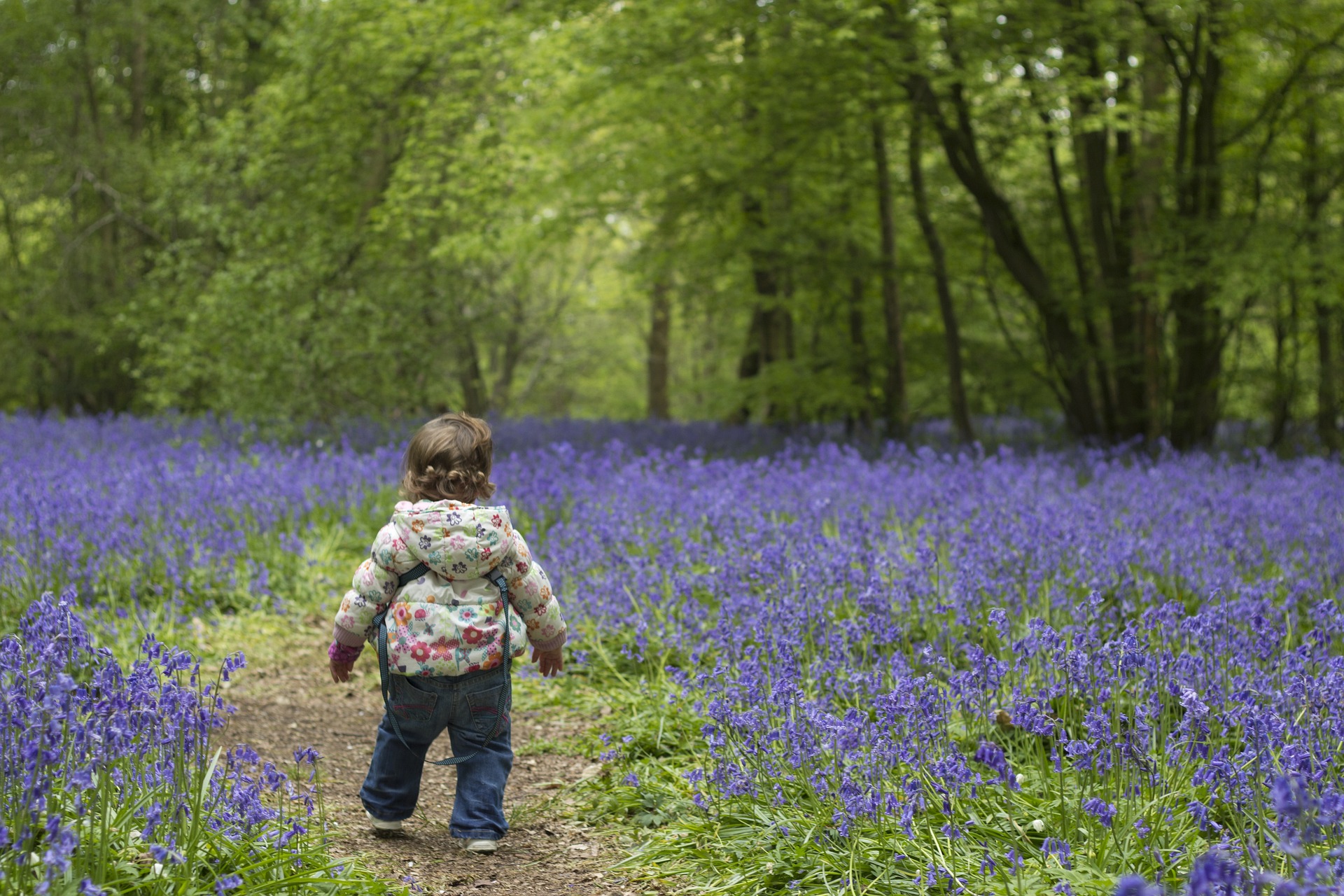 Wildlings at Ladderedge Country Park